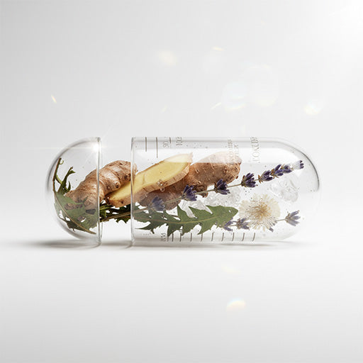 Clear capsule with ginger slices, lavender flowers, and other herbs on a white background